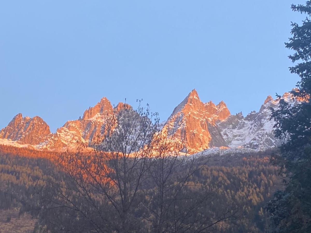 Chamonix - Majestic Vue Mont Blanc Apartment Екстериор снимка